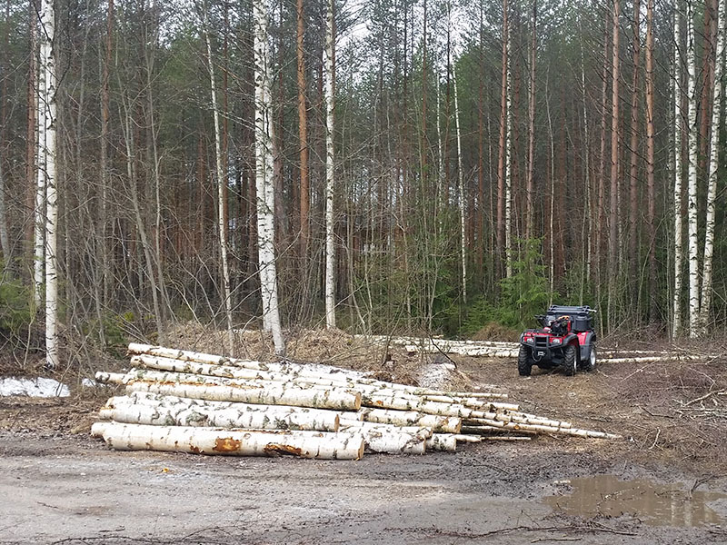 Kiinteistönhuoltopalvelut Pohjois-Savossa - Metsätyöt ja puunhakkuut, FinMacGyver Oy